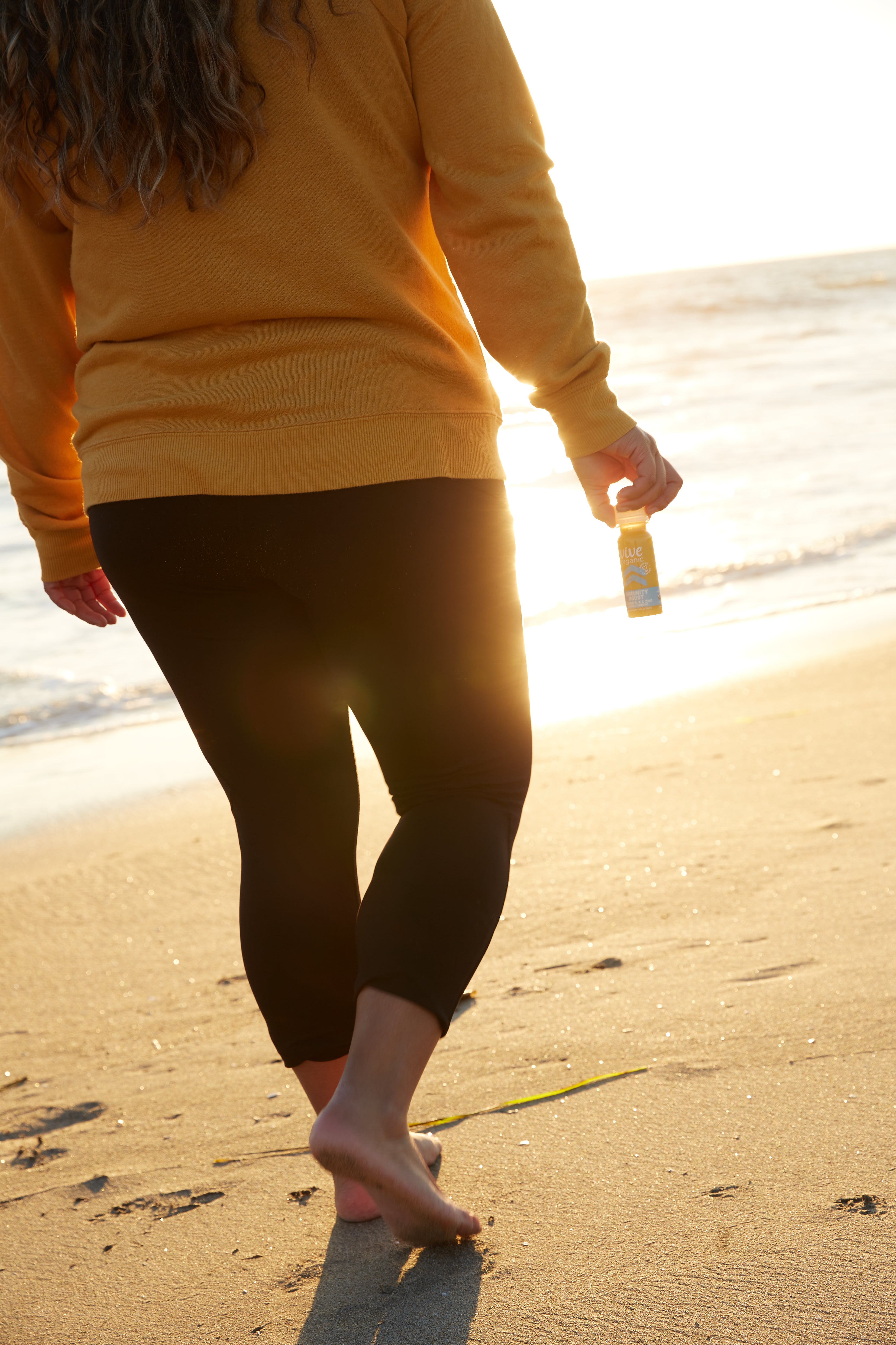 VIVE'S HOLIDAY HOLISTIC WELLNESS GUIDE