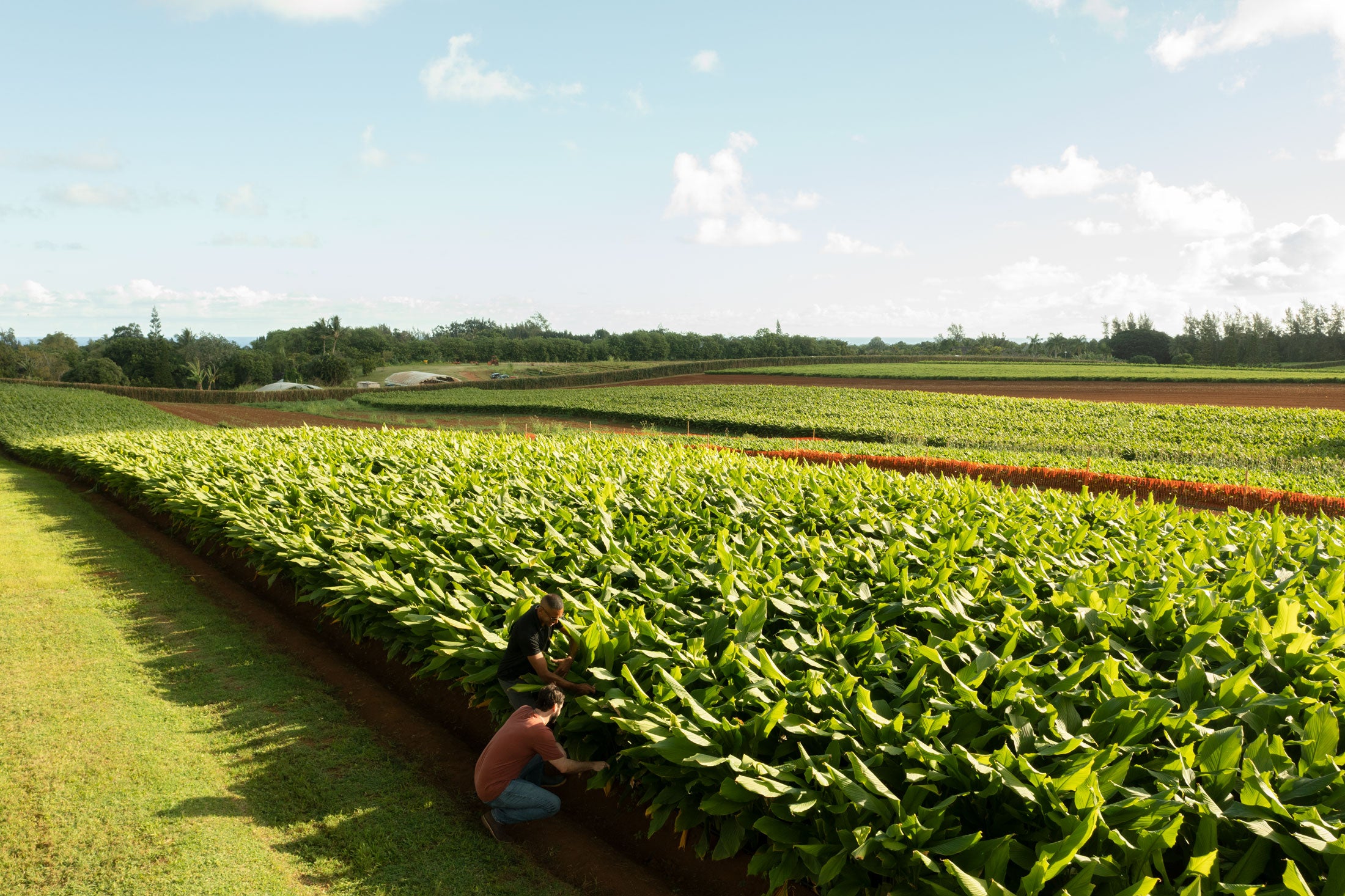 We are Carbon Trust measured!