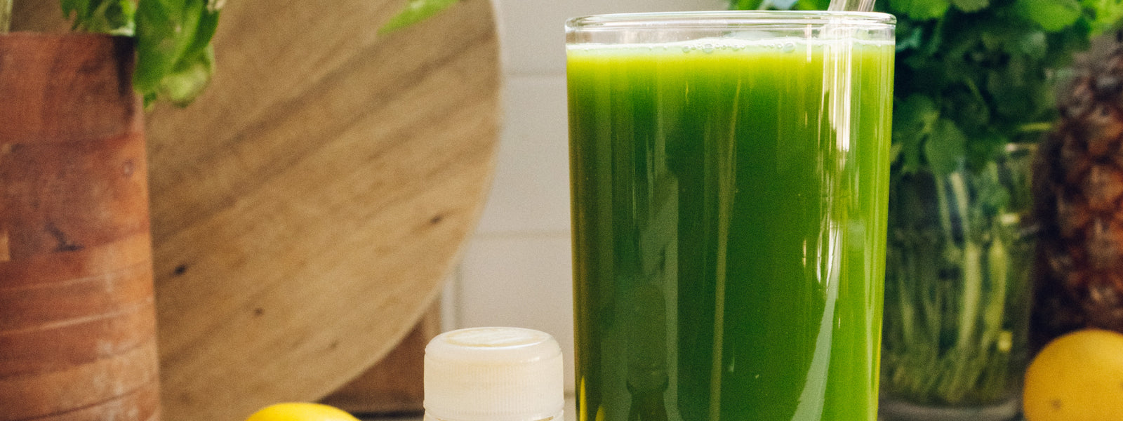 BLENDER GREEN JUICE Vive Organic