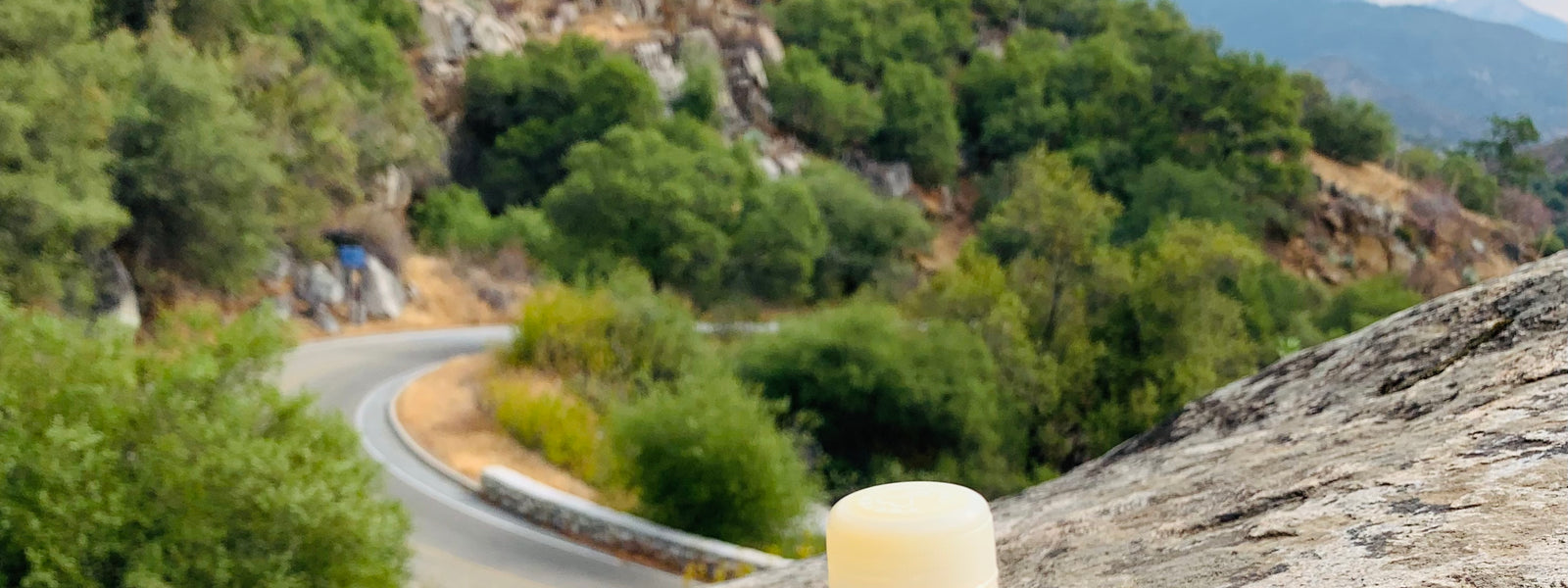 5 Tips To Boost Your Immunity by Vive's Holistic Doctor Vive Organic