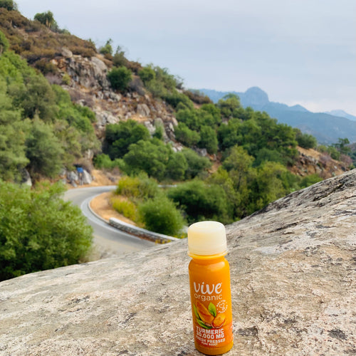 5 Tips To Boost Your Immunity by Vive's Holistic Doctor