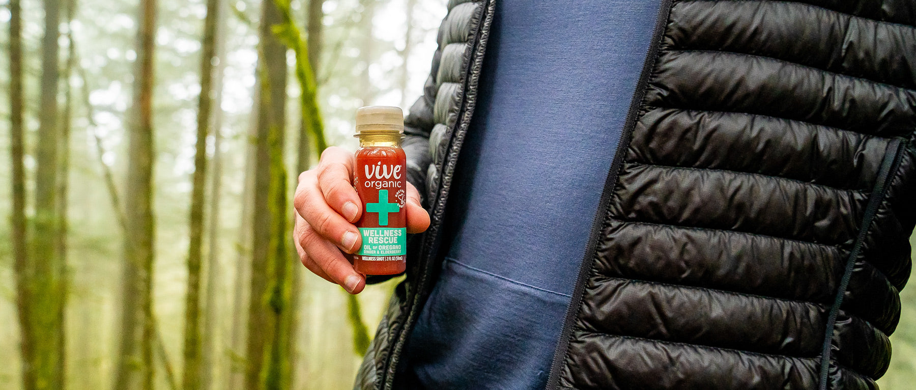 Potential Health Benefits of Elderberry