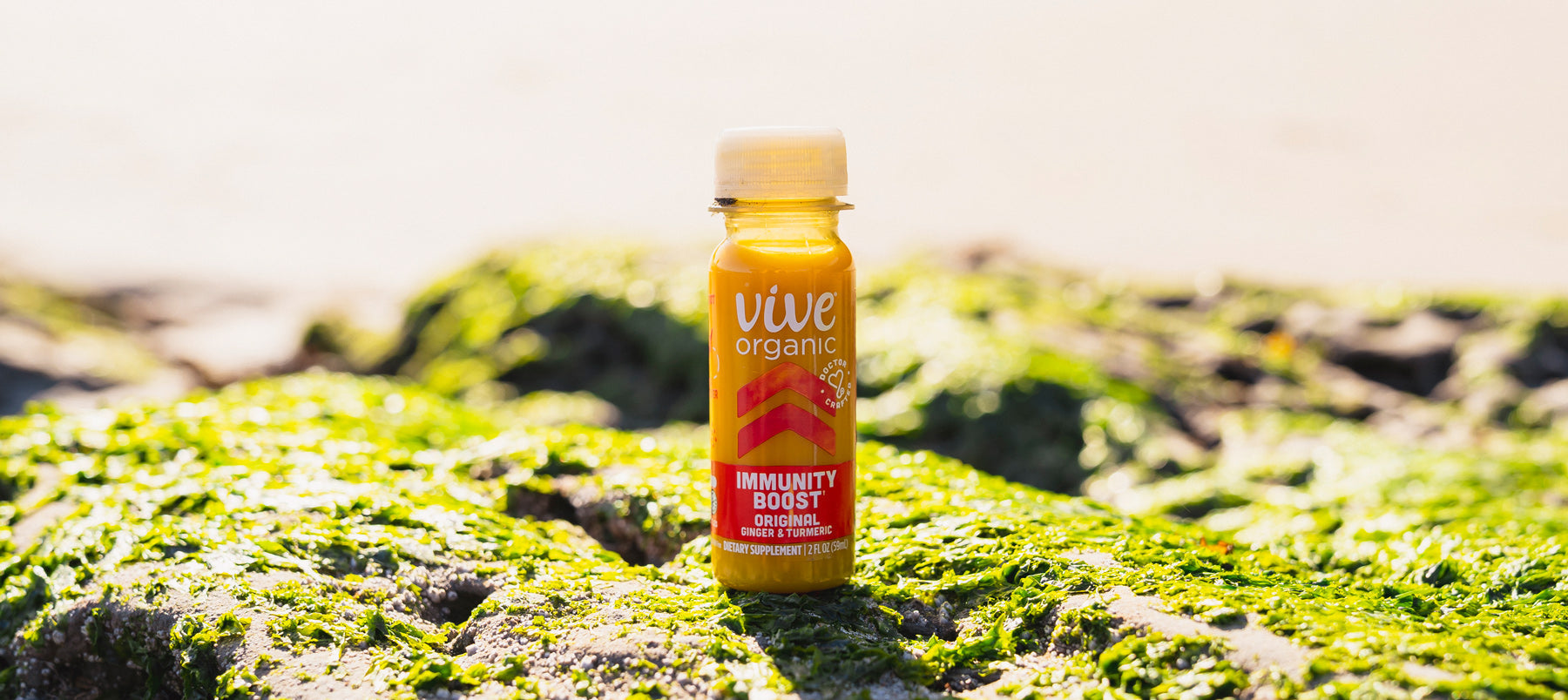 10 Great Tips for Going Green