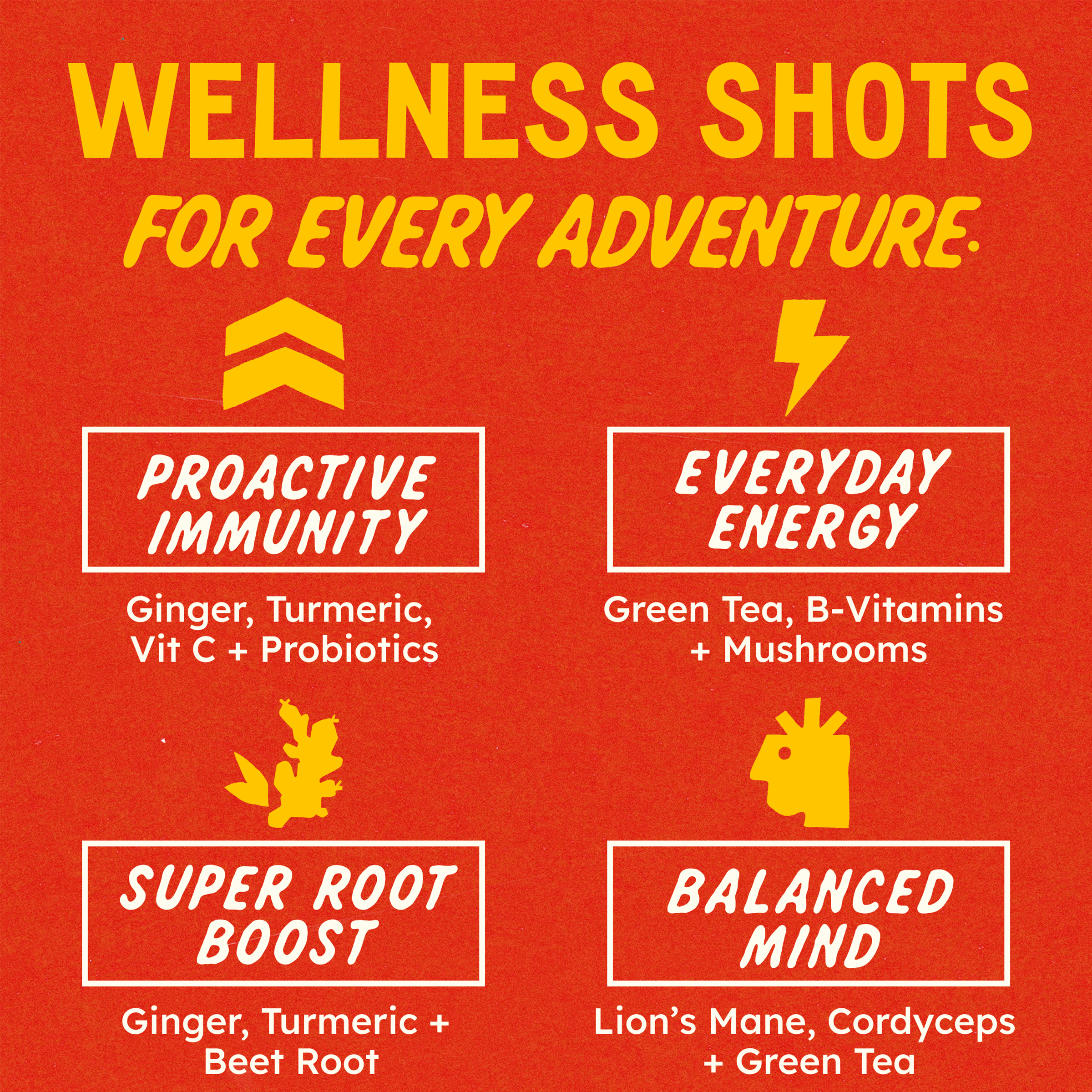 Energy+Focus Passionfruit