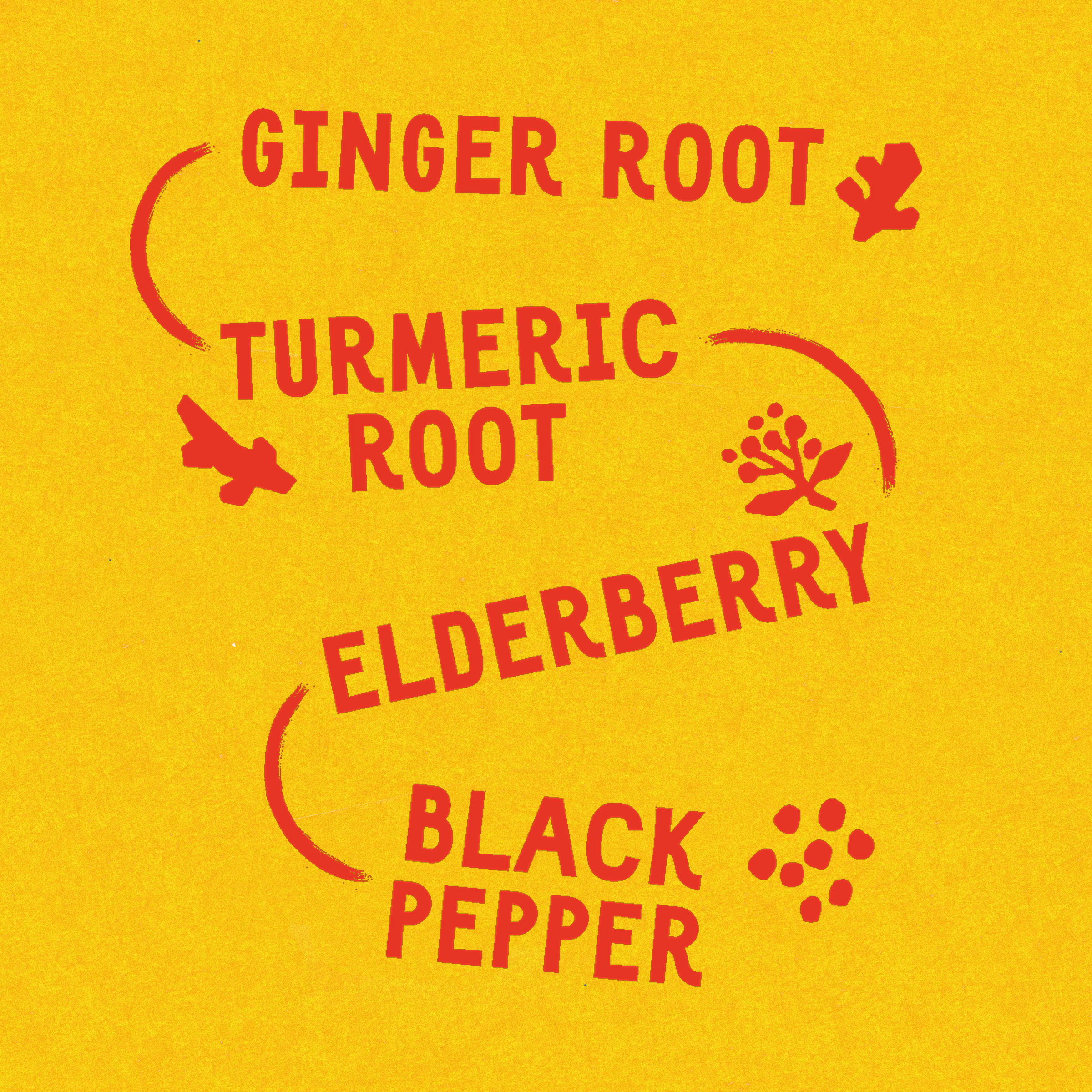 Immunity Boost™ Elderberry