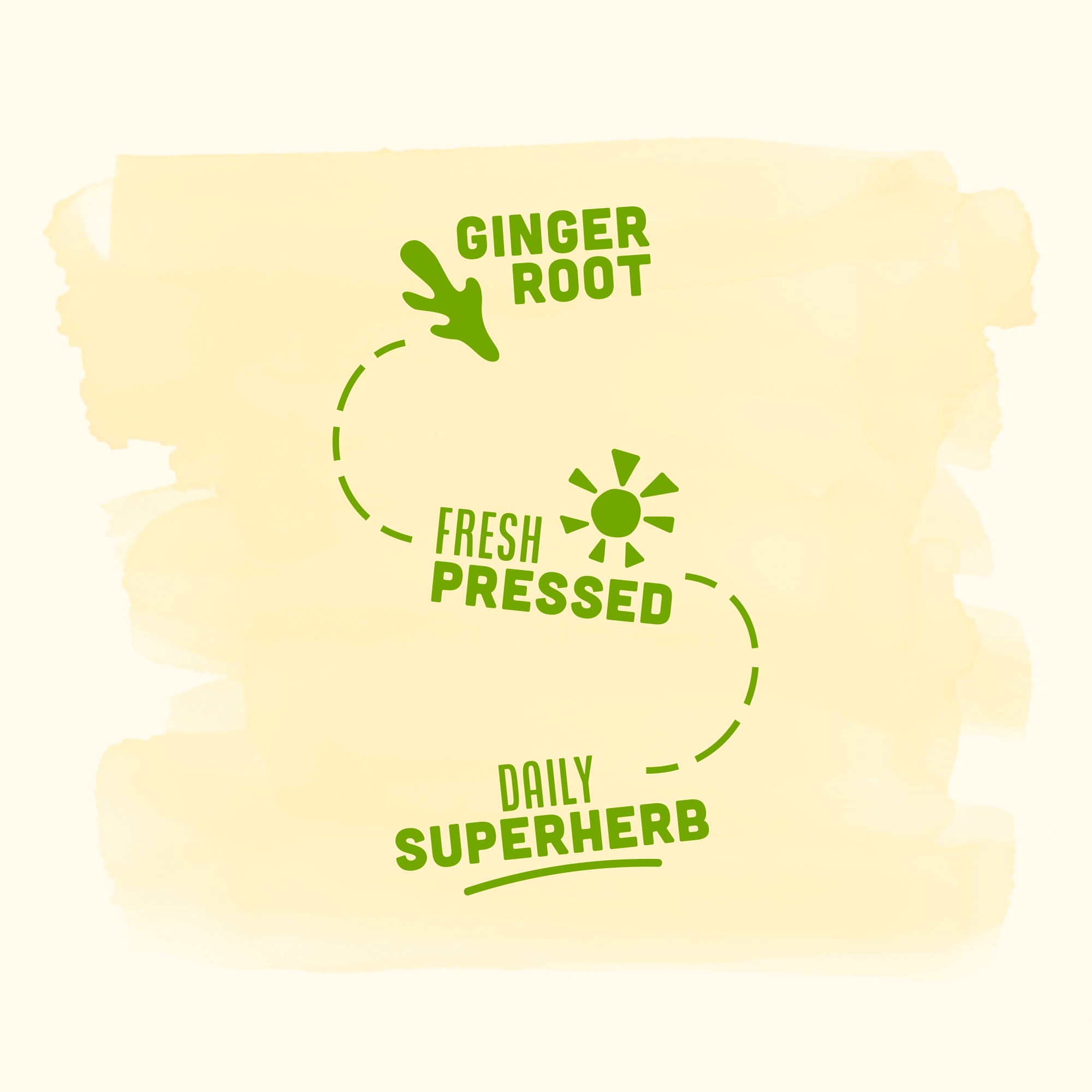 Ginger - 27g organic cold pressed ginger in every bottle, 6 or 12 x 60 –  fightershots