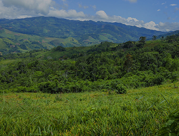 Farm field in Peru with a blue sky and clouds above the green hills