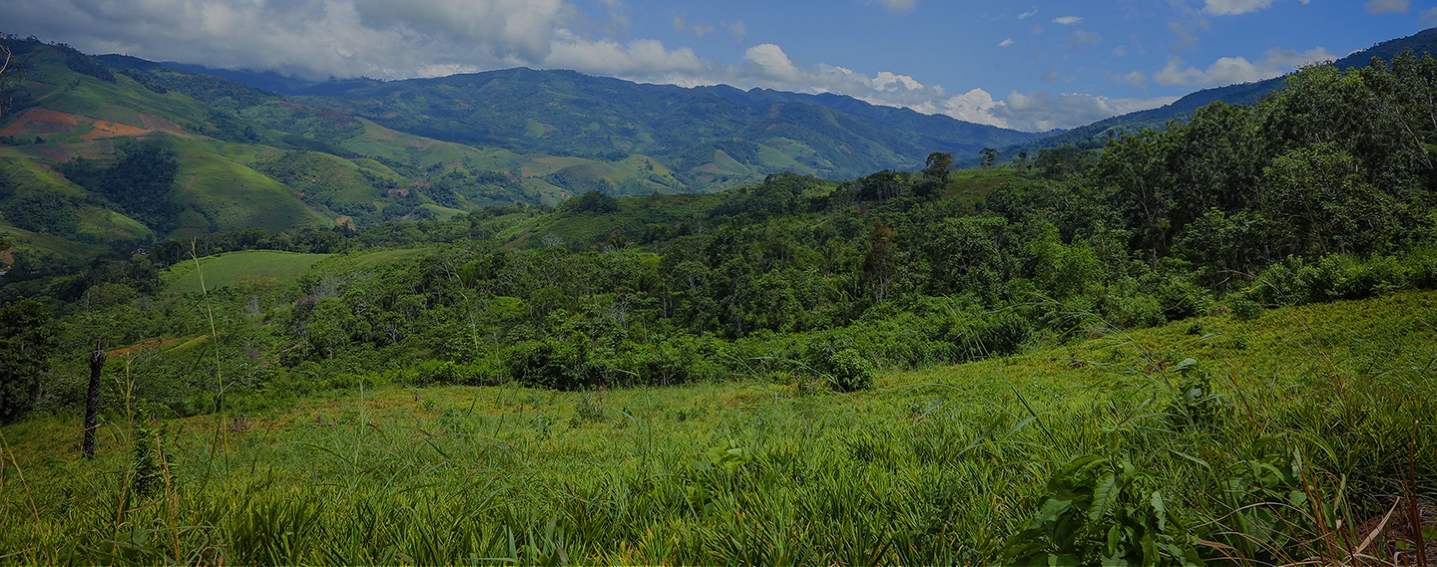 Farm field in Peru with a blue sky and clouds above the green hills