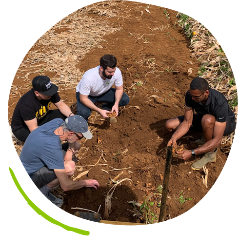 three male Vive Organic team members with a farmer in a farm field digging in the soil